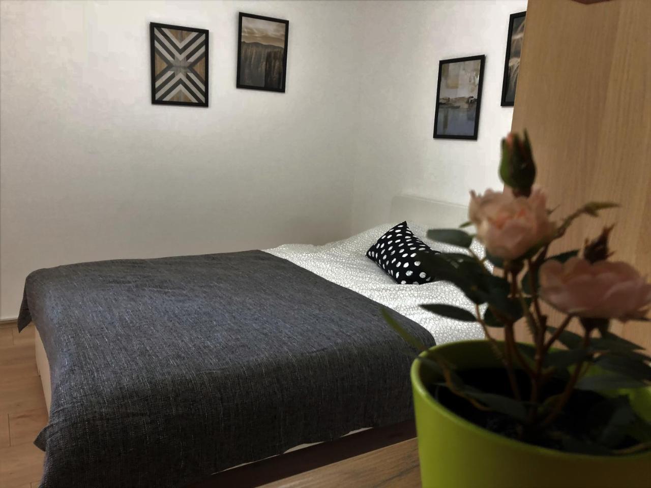 Small & Sweet Apartments Belgrado Esterno foto